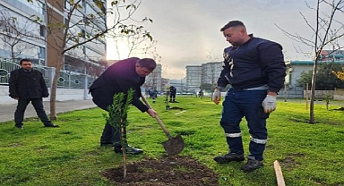 Karşıyaka Meyve Bahçeleriyle Renkleniyor