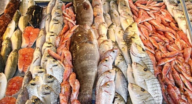 Türk su ürünleri ve hayvansal mamuller sektörü Yeni Dünya pazarında büyümek istiyor