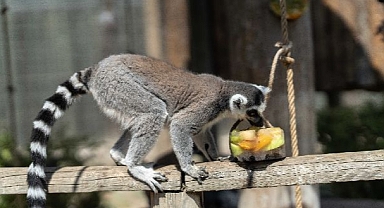 Doğal Yaşam Parkı’na pazartesi molası 