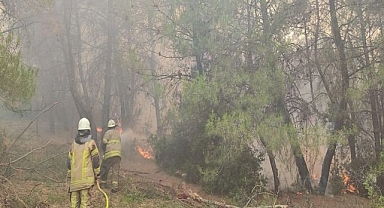 İzmir İtfaiyesi Kentin Dört Bir Yanında Yangınlarla Mücadele Ediyor