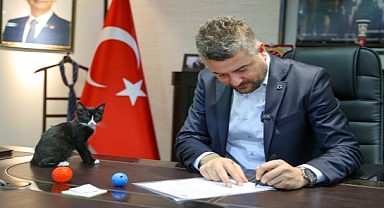 Buca Belediyesi’nden can dostlarına büyük destek