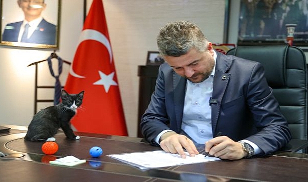 Buca Belediyesi’nden can dostlarına büyük destek