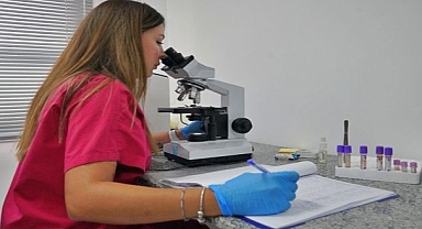 Sokak Hayvanları Bu Hastanede Şifa Buluyor