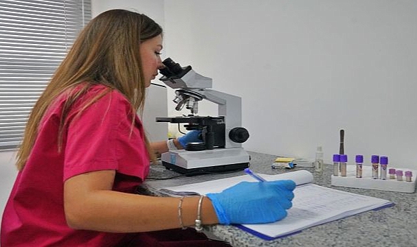 Sokak Hayvanları Bu Hastanede Şifa Buluyor