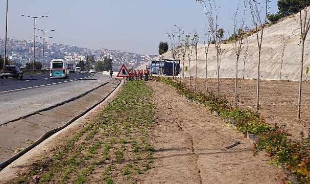 Kuraklığa karşı İzmir’in yeşil örtüsünde dönüşüm