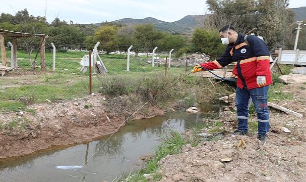 Haşere ile Mücadele Başladı