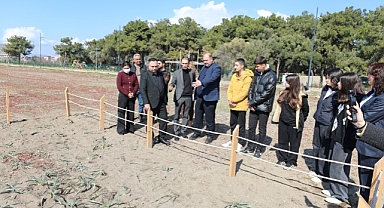 Kum Zambakları Menderes’te Koruma Altında