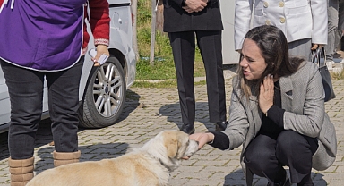 “Siz de Bir Patili Dost Edinmeye Ne Dersiniz?” 