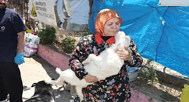 Hayvanların sağlık durumu iyi