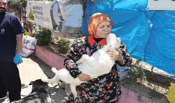 Hayvanların sağlık durumu iyi