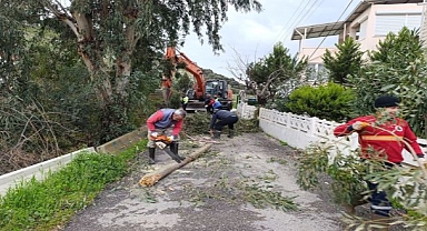 Menderes Belediyesi’nden Vatandaşa Temizlik Desteği
