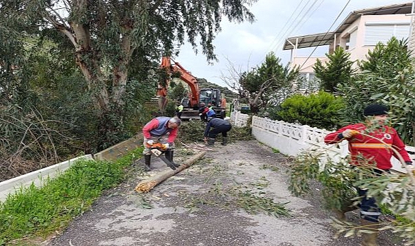 Menderes Belediyesi’nden Vatandaşa Temizlik Desteği